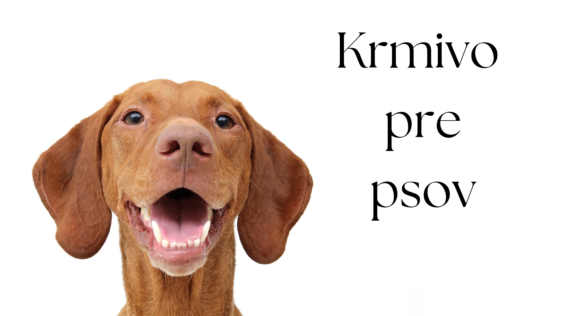 Krmivo pre psov